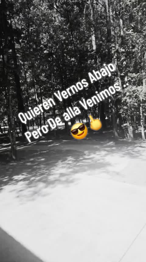 @gordo