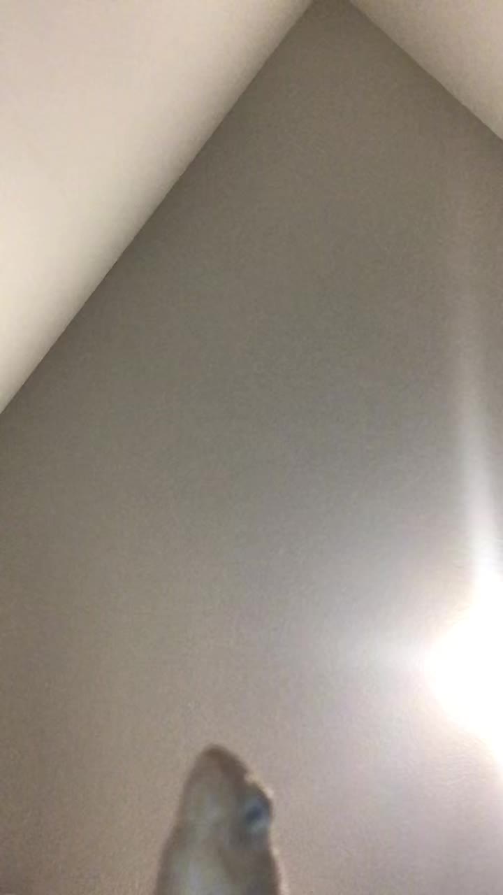 @junanabananaa