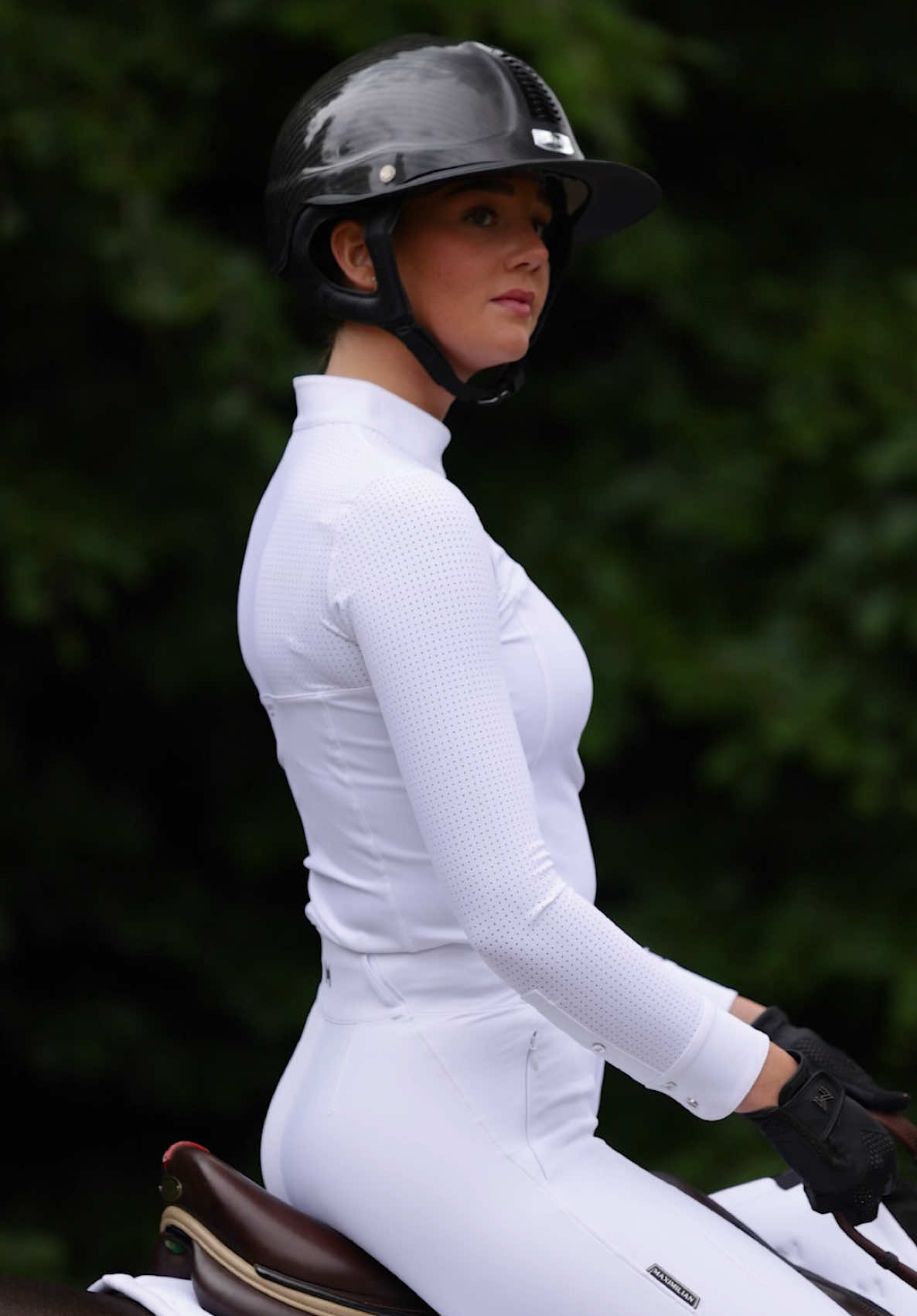 @Maximilian Equestrian