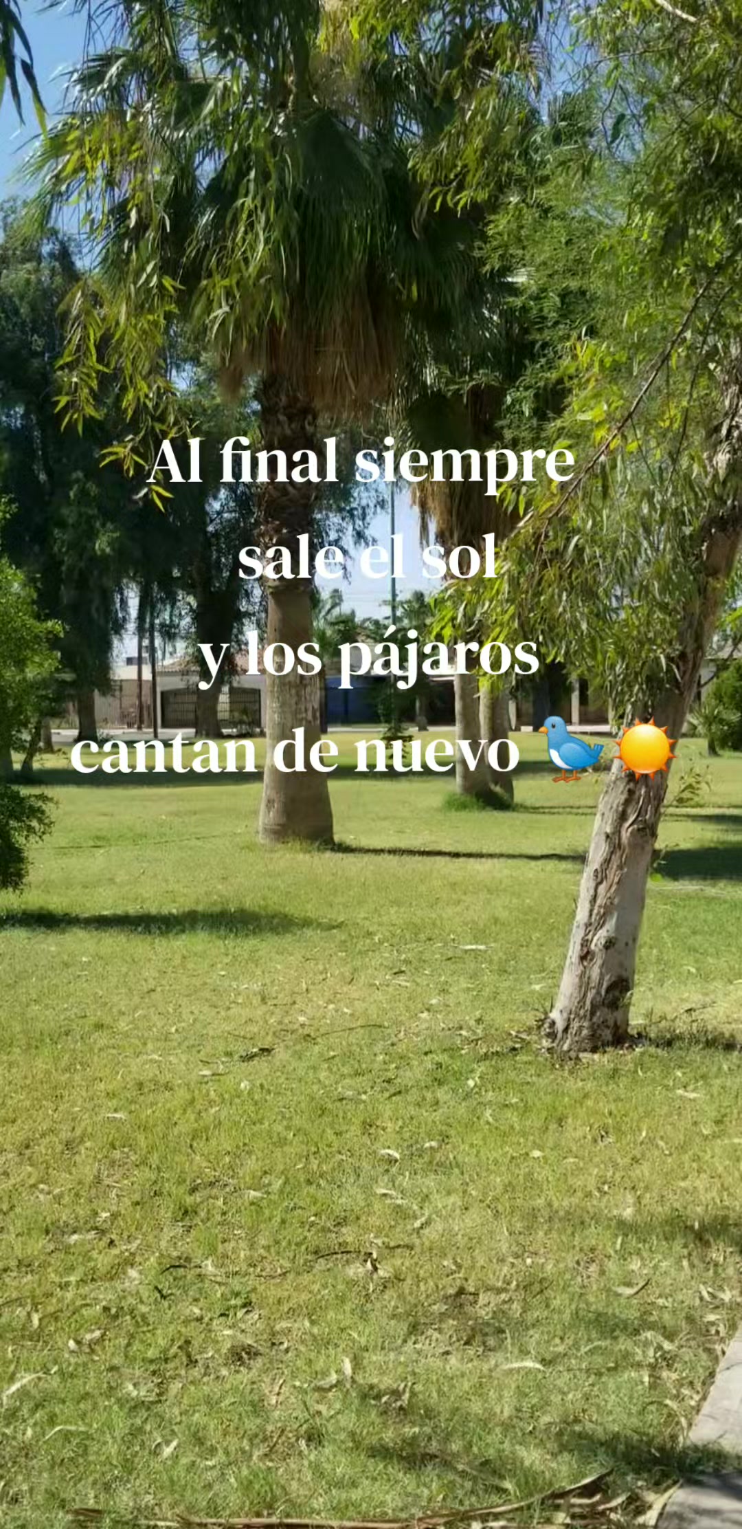 @Elena Madrigal