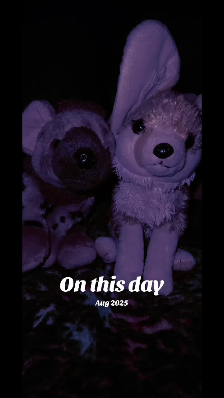 @AbrahamTheHyena✝️