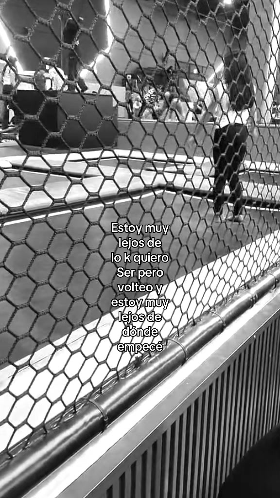 @707.ar4ntxa