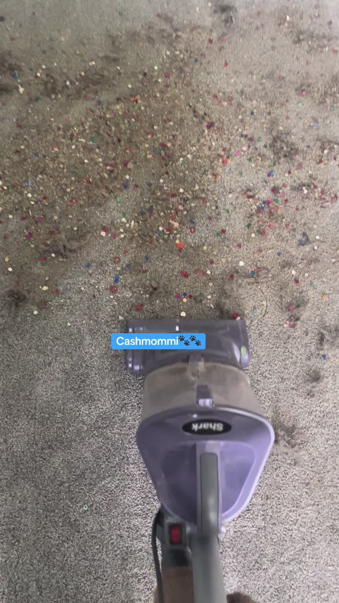 @CashmommiVacs