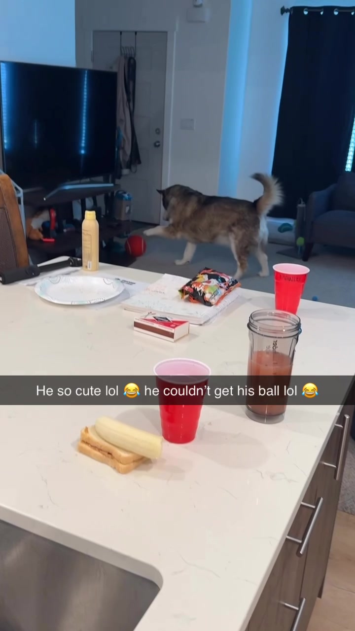 @kodi_1517