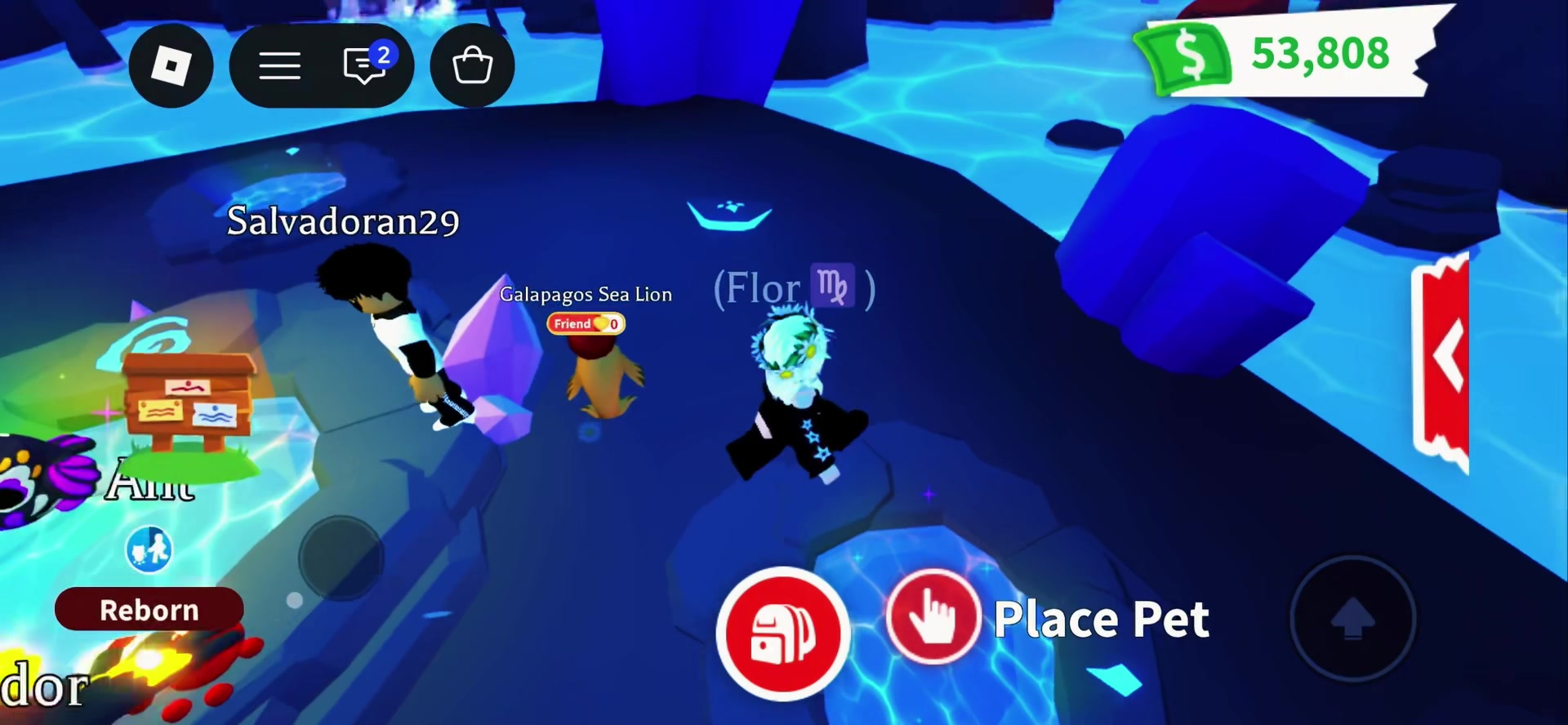 @UserF10r