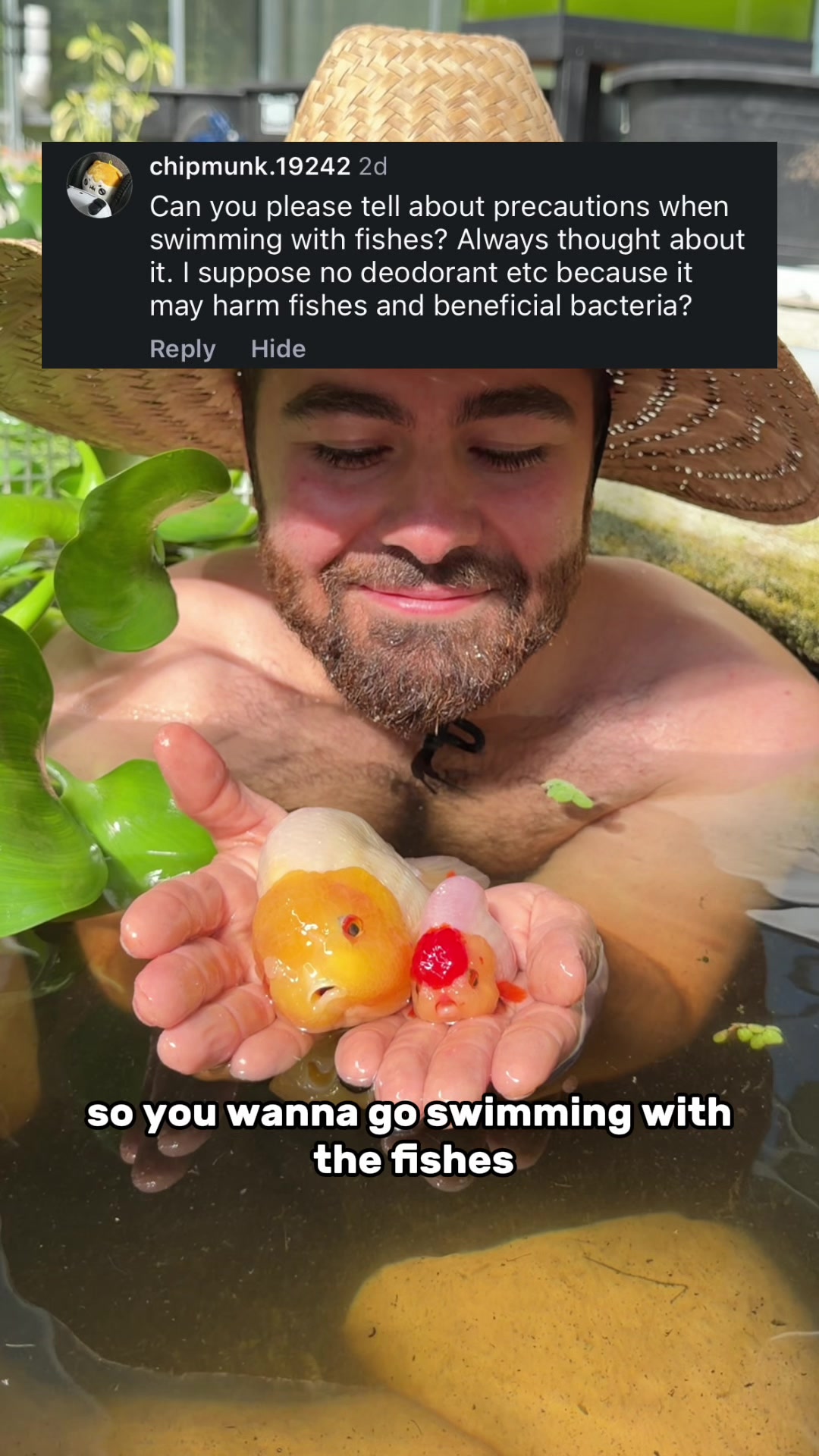 @The Goldfish Guy