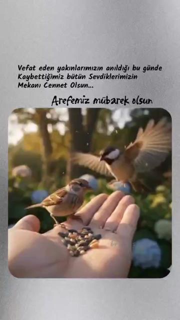 @Hediye Atasoy