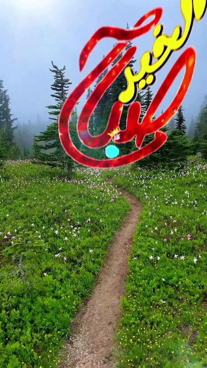 @🌟𝗦𝗼𝘂𝘇𝗮𝗻 𝗖𝗵𝗮𝗺𝘀
