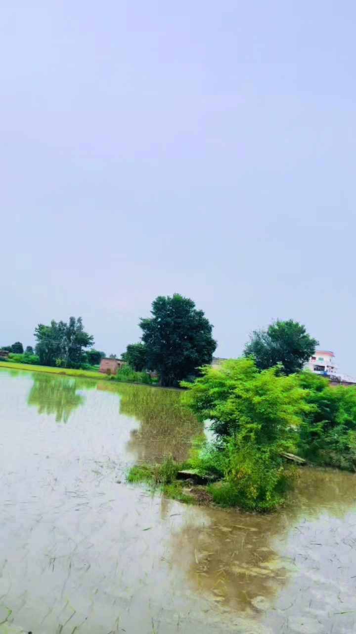 @Malik Faisal