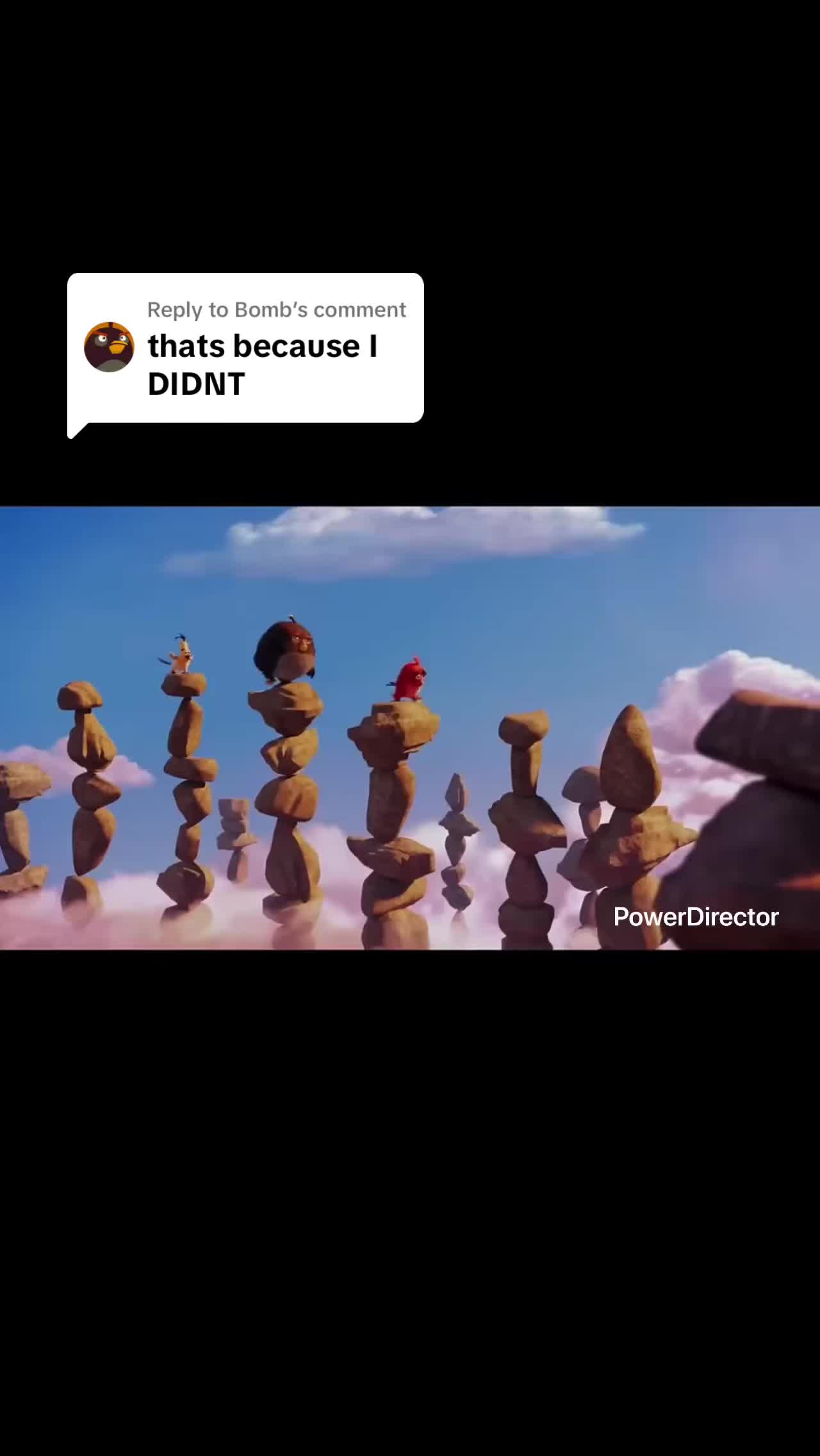 @green_tortuga