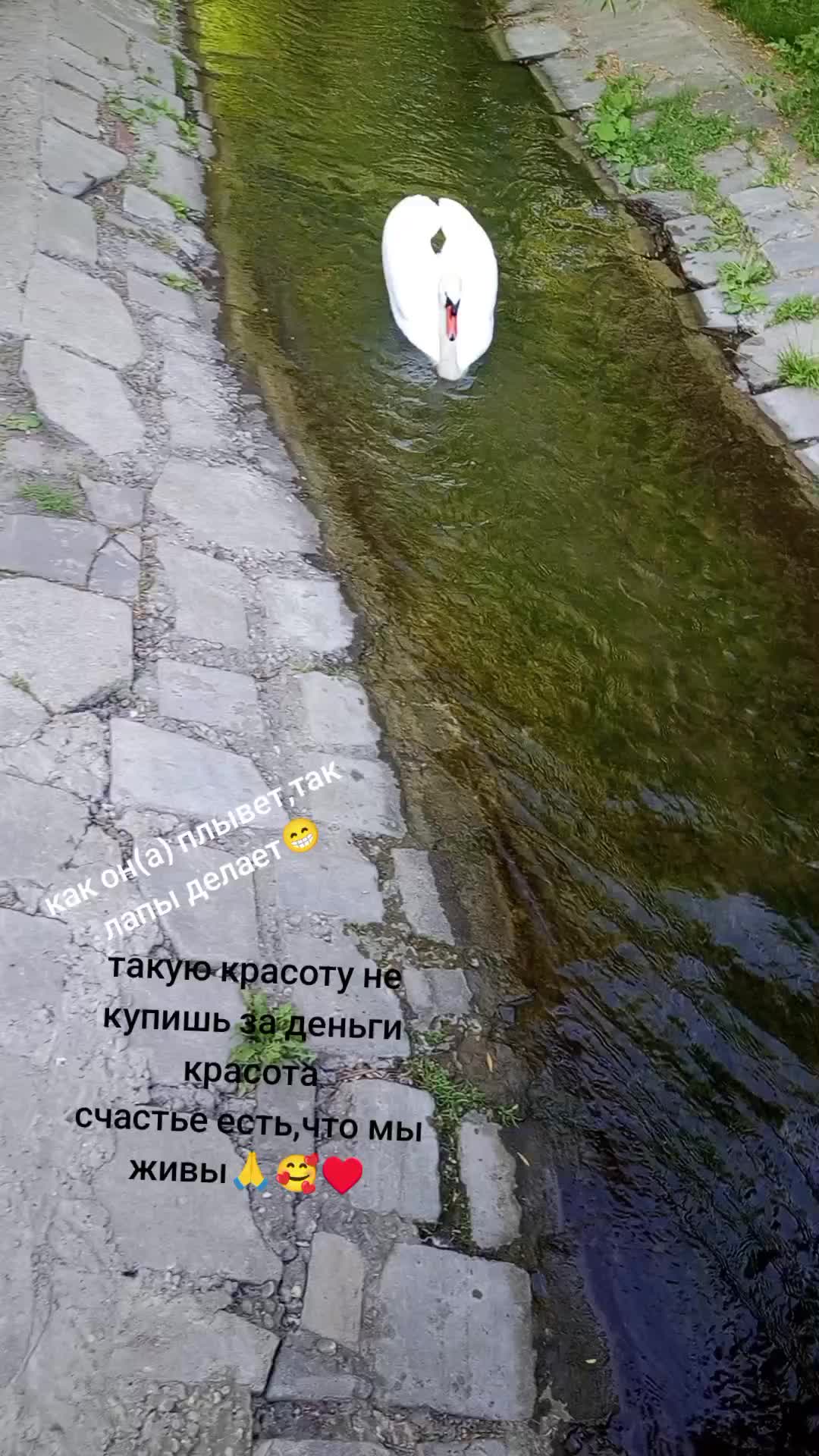 @꧁♡Танюхха♡꧂