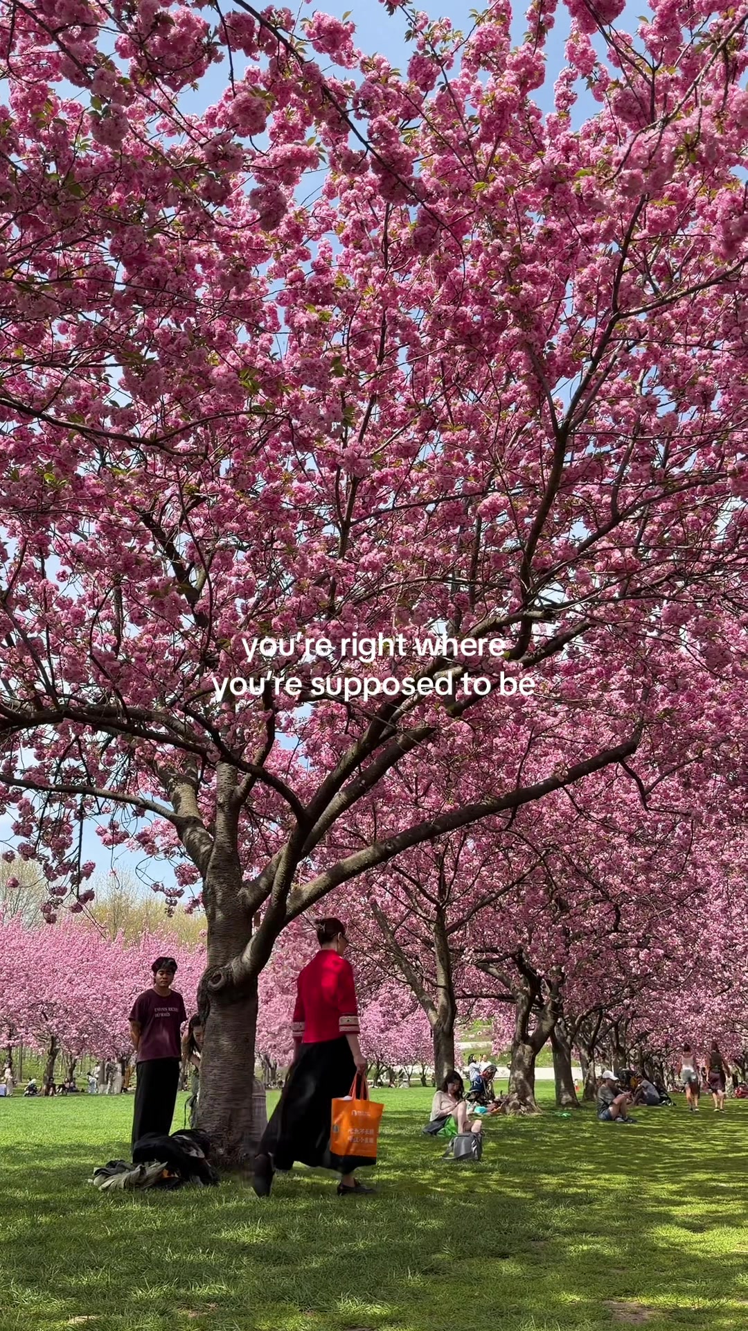@Gatton