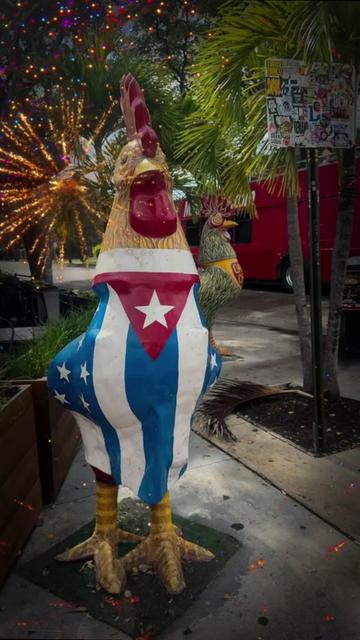 @🇨🇺Magalys🇺🇲