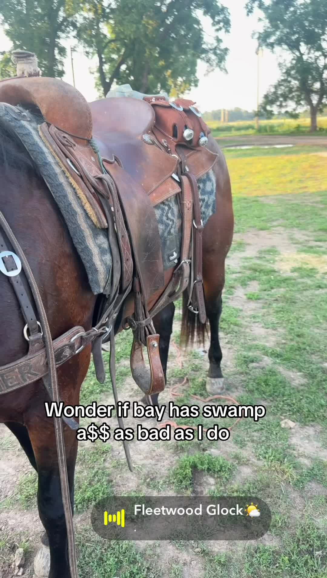 @Ian Block