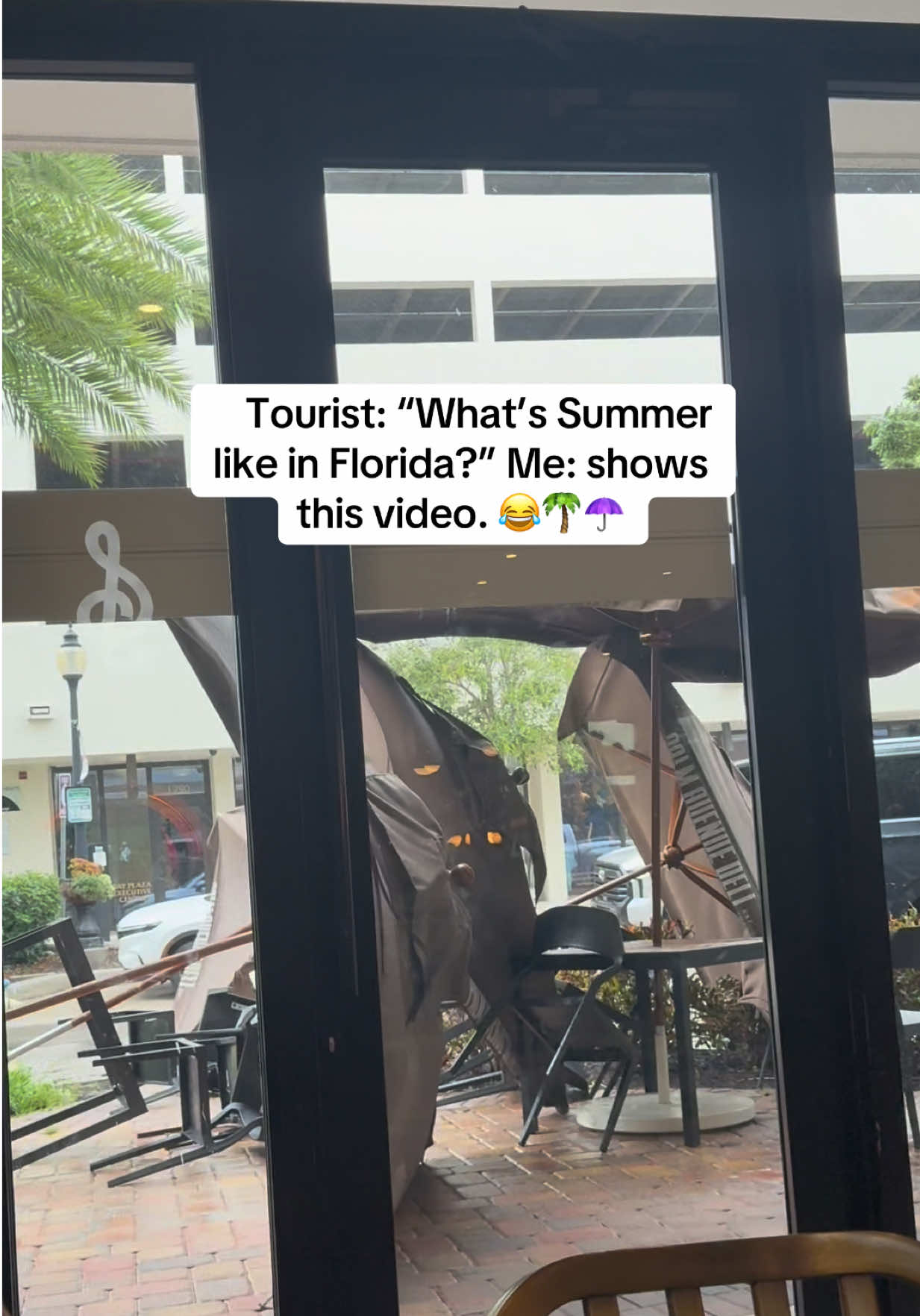 @lily || fl lifestyle & travel