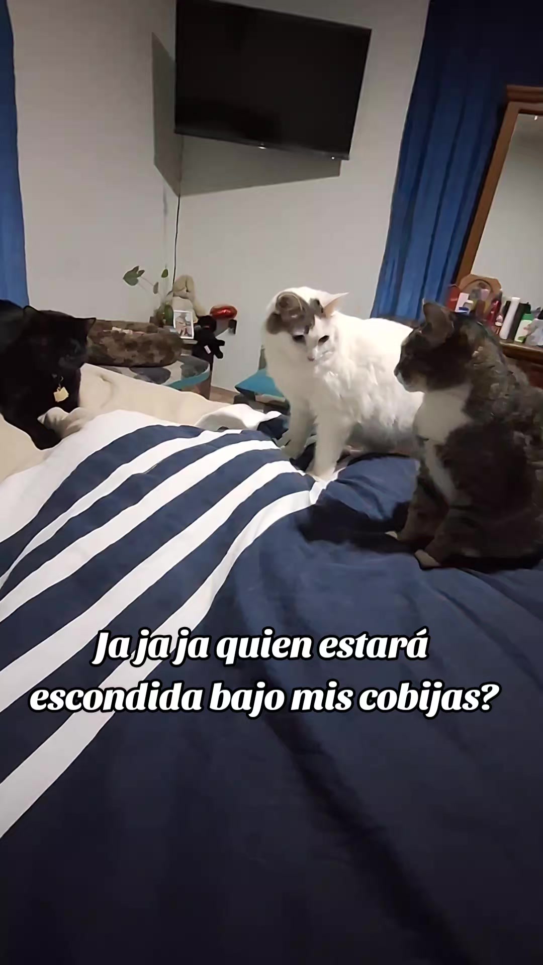 @Janis 🥰🥰🥰