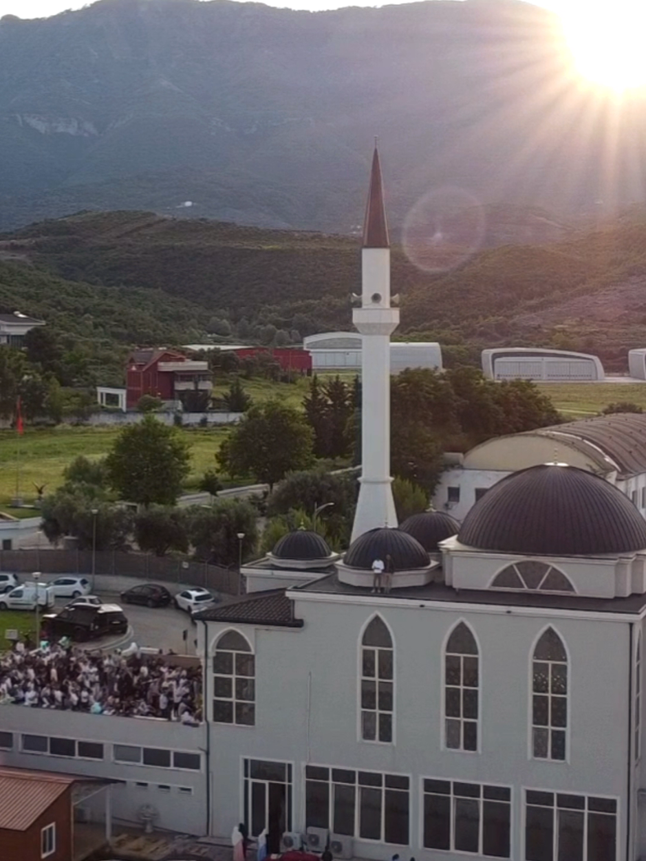 @Fark&euml; Tiran&euml;