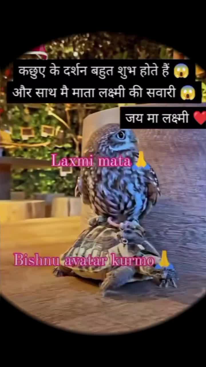@perky_deseri_☎