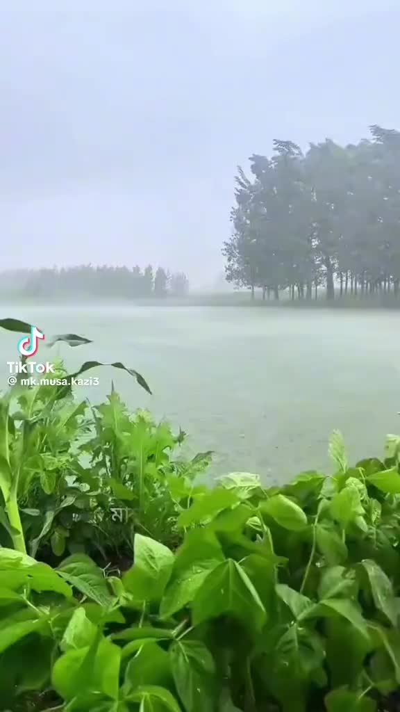 @মোঃ হোসেন রায়পুরা নরসিংদী ঢাকা
