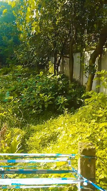 @গোপালগঞ্জের ছাওয়াল