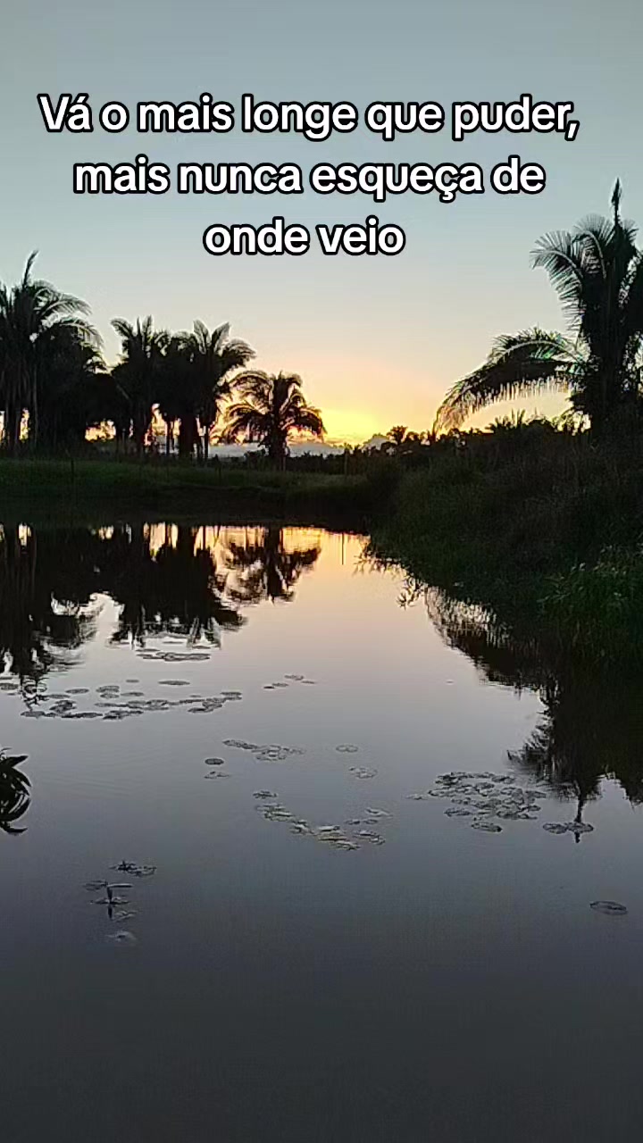 @Jailson do Refúgio🌳🐟