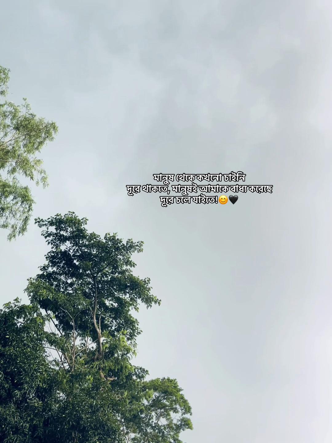 @đ đ đ đ đĨ đ¤đī¸