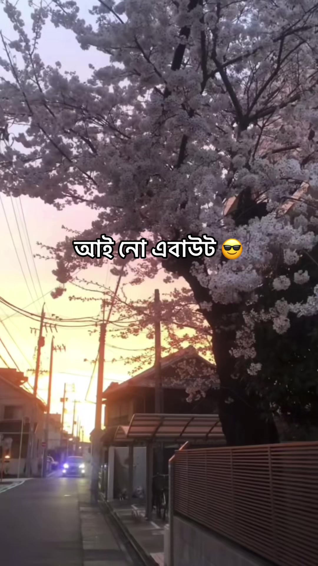 @✙