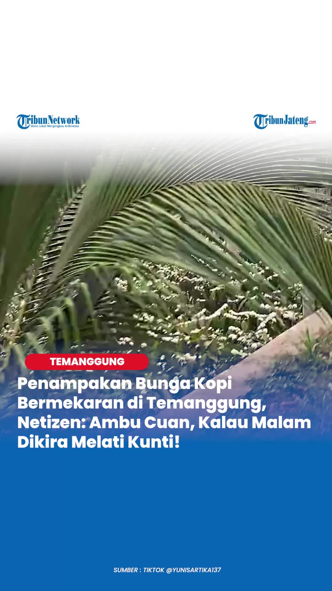 @Tribun Jateng
