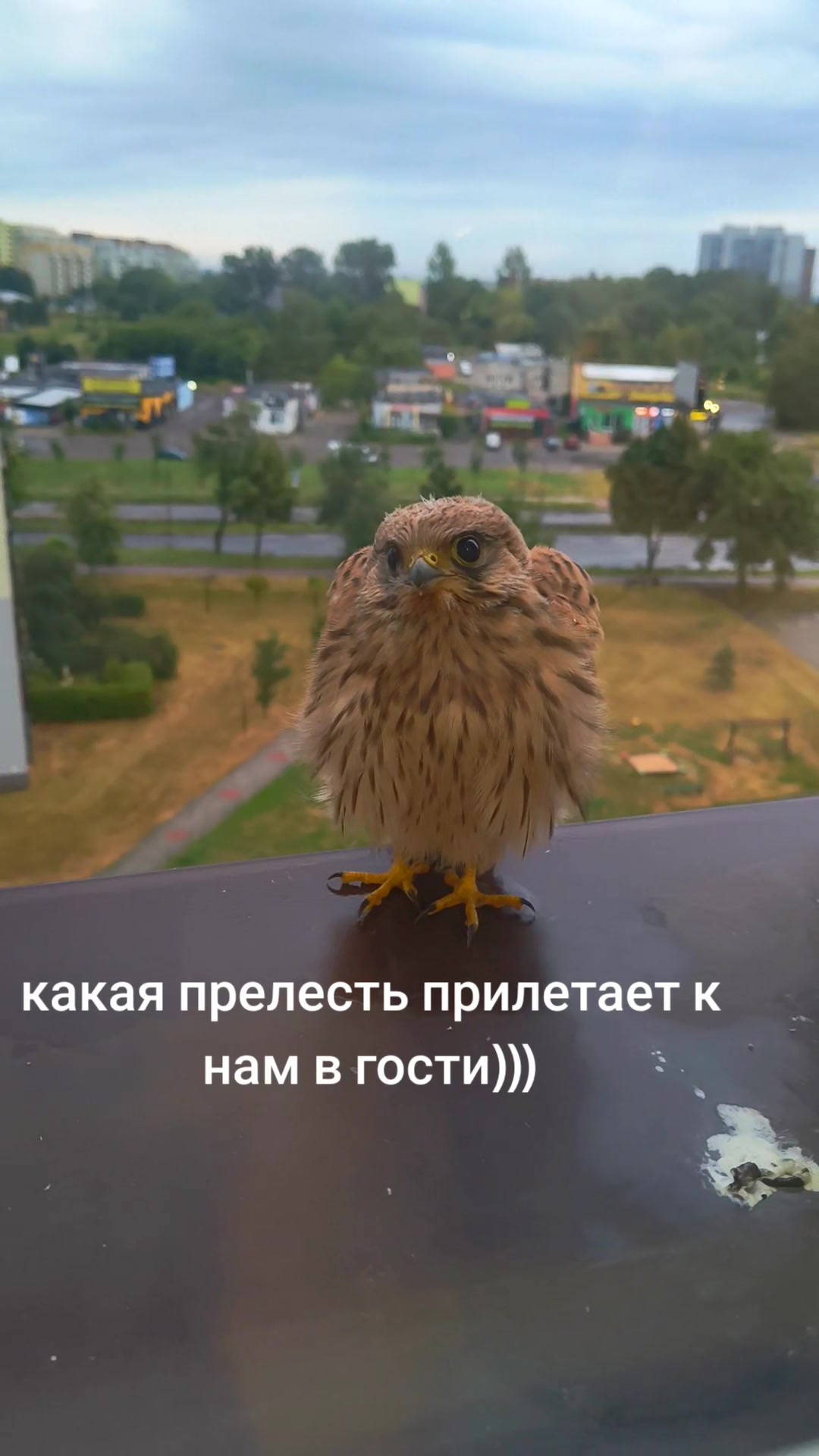 @юличка