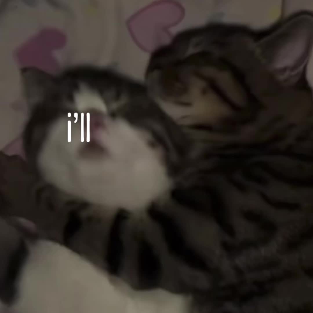 @ze66y