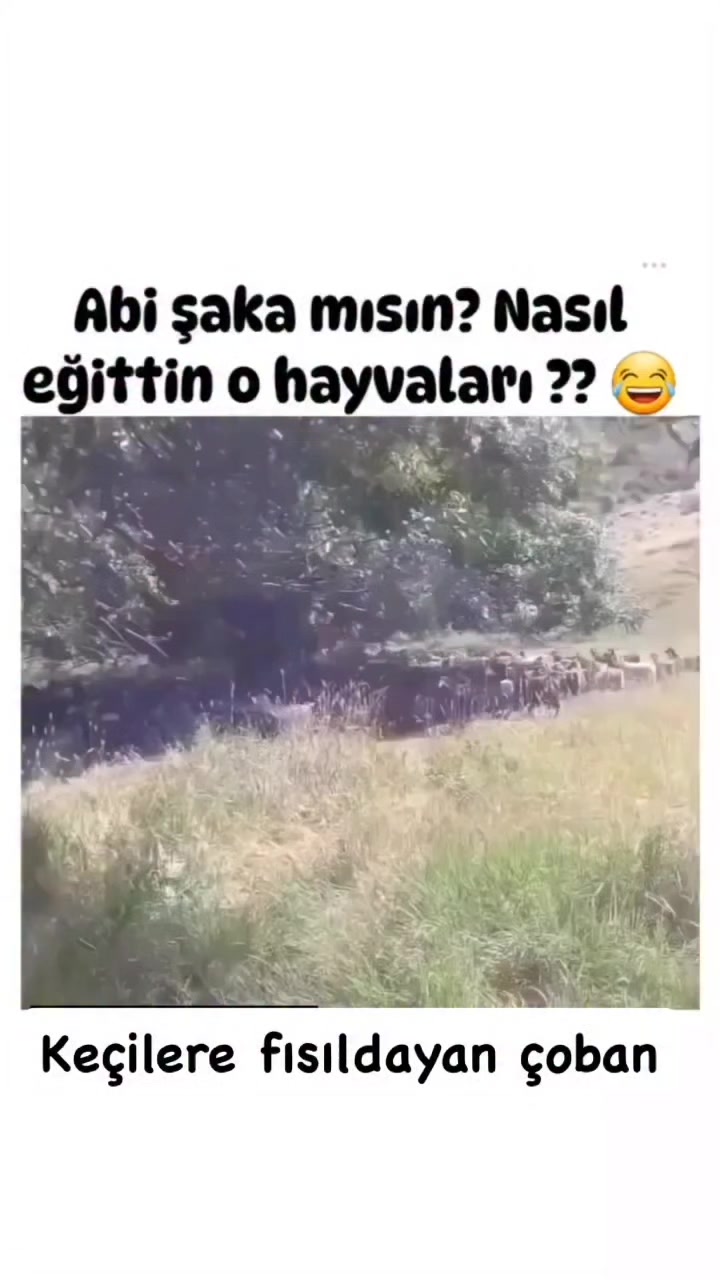 @gunduzak1