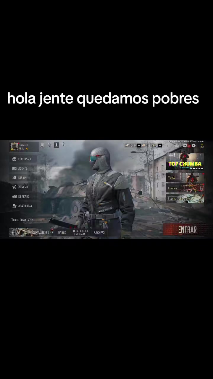 @gato de combate