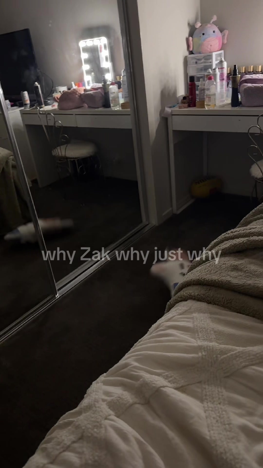 @Zoe lambro