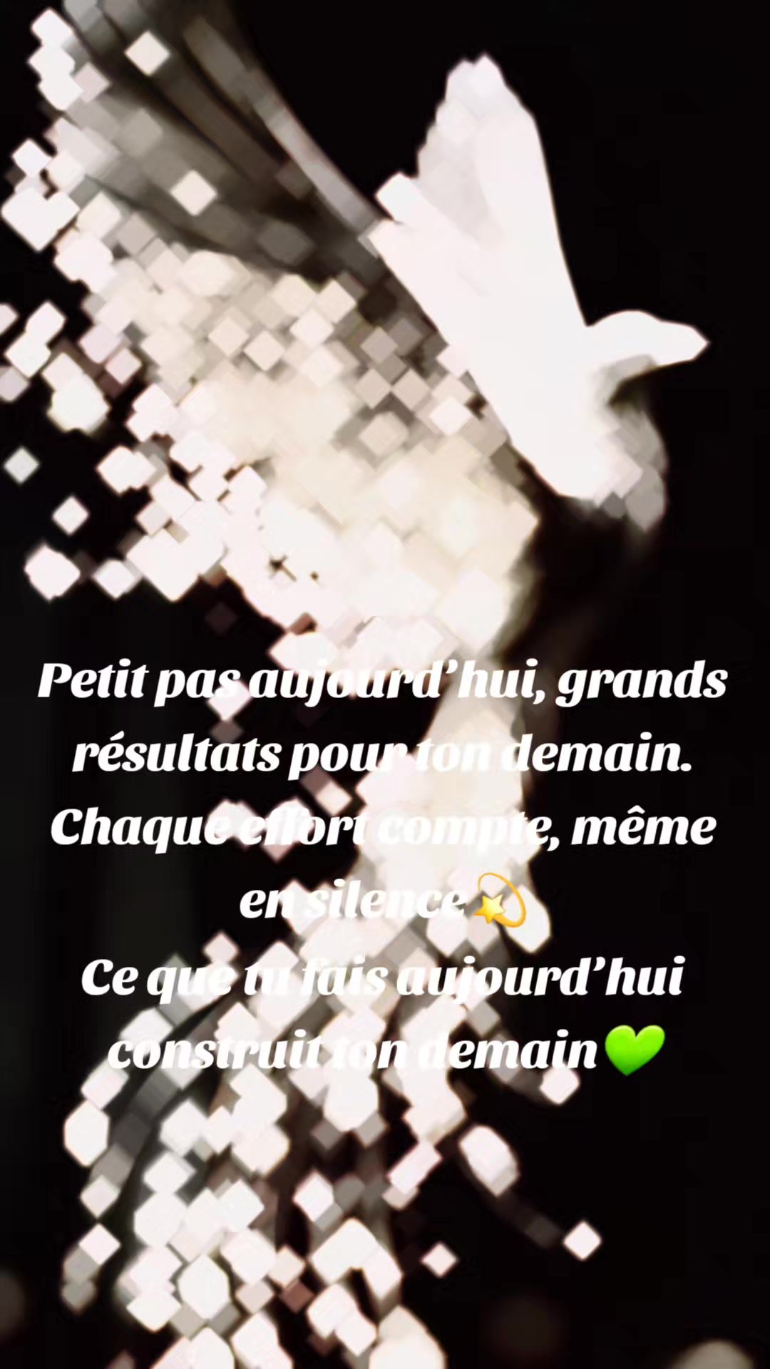 @idalmelo