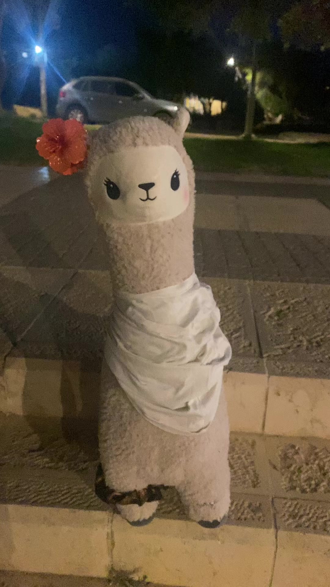 @שלומית הפיימוס 🦙🦙