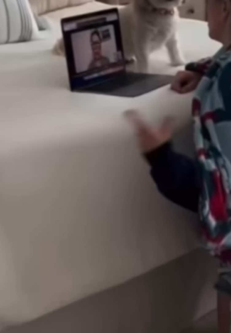 @Cartelmarcel