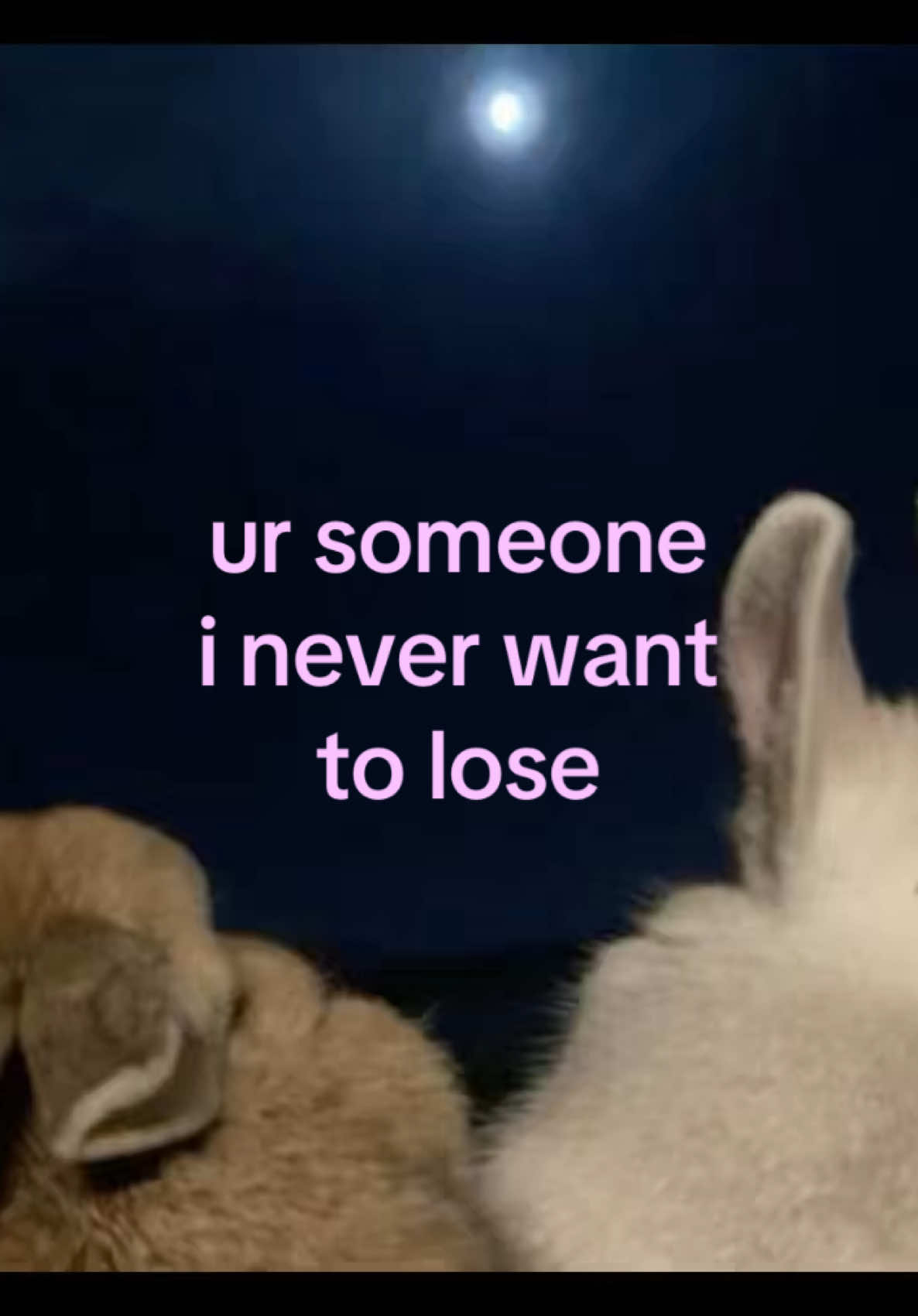@iseenthisinmydream