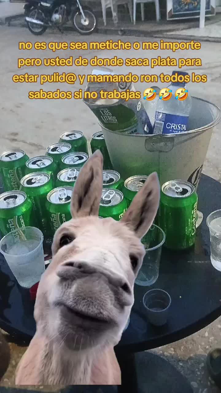 @Michael El Pri 😎