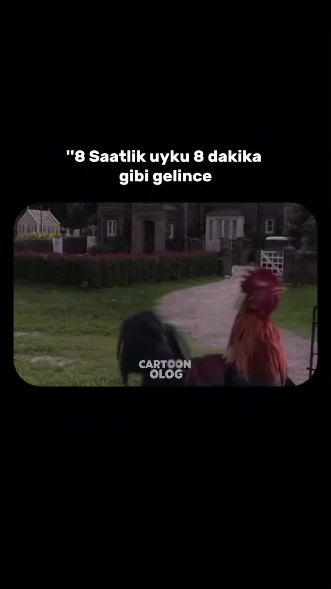 @Mehmet tc