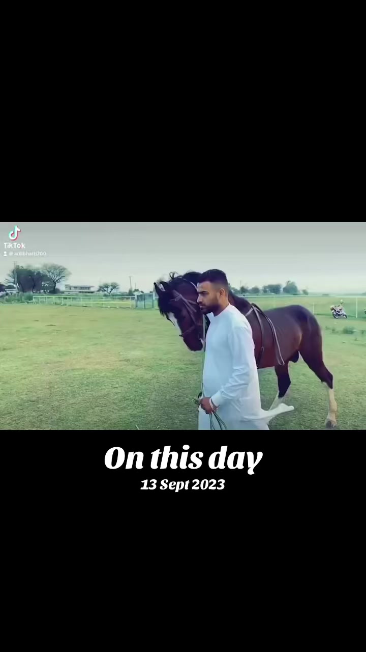 @Adil Ali bhatti