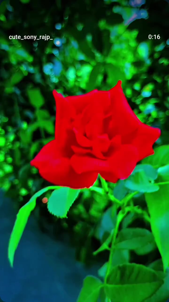 @Binod Ram