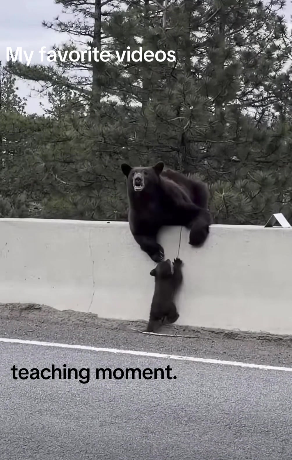 @my favorite videos