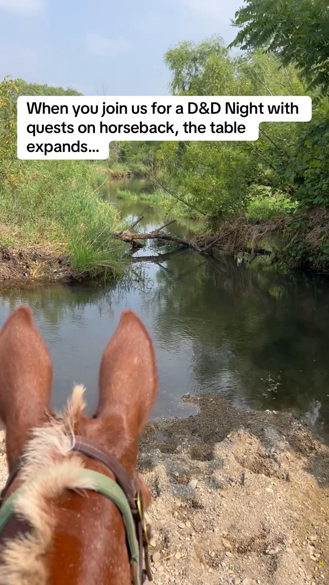 @SaddleSnaps