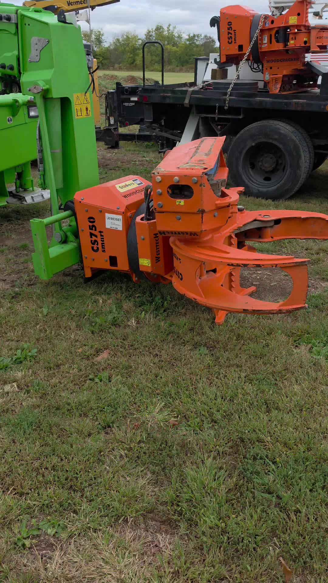 @TLC TREE CHAD