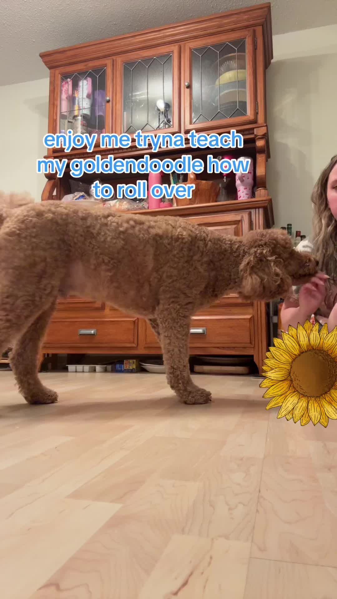 @meganscreationss✨