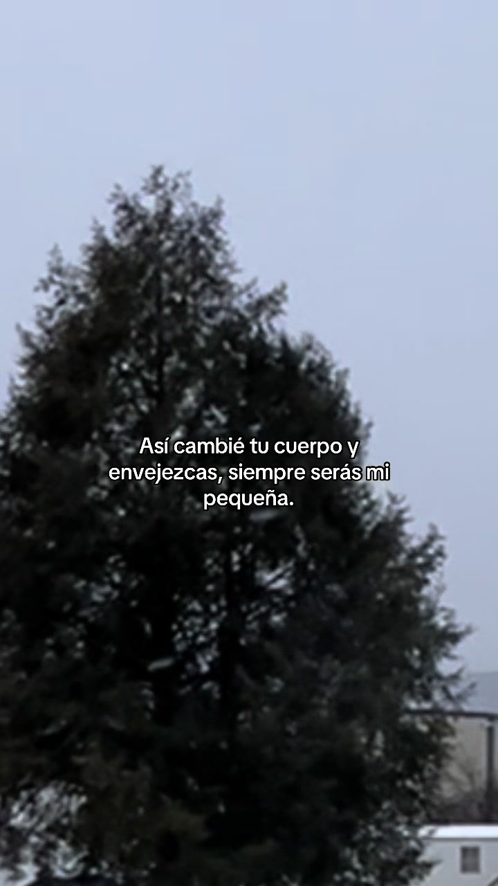 @1inmortalsolitario