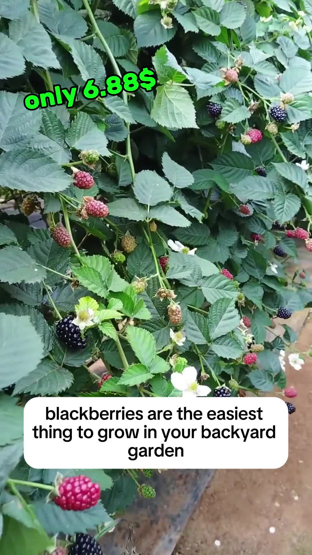 @1