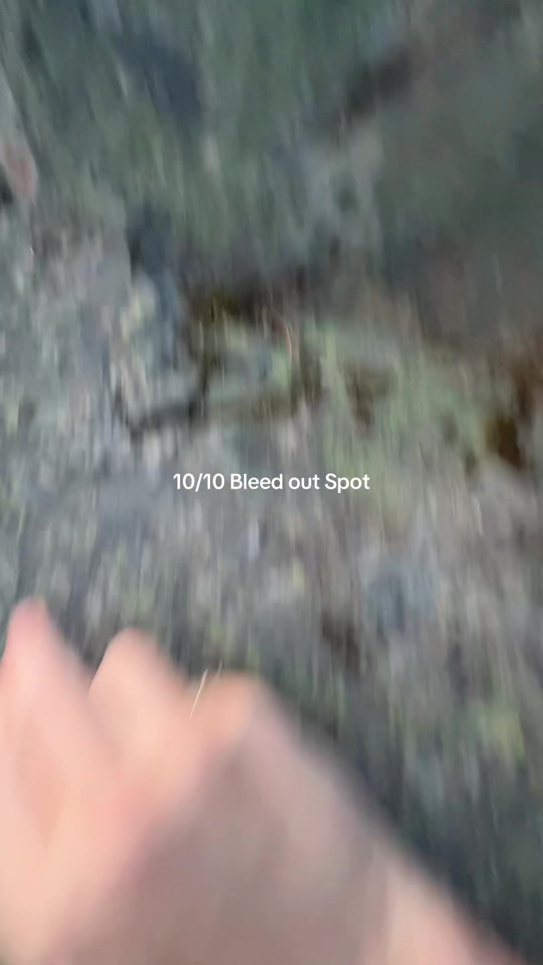 @Nxdvisuals