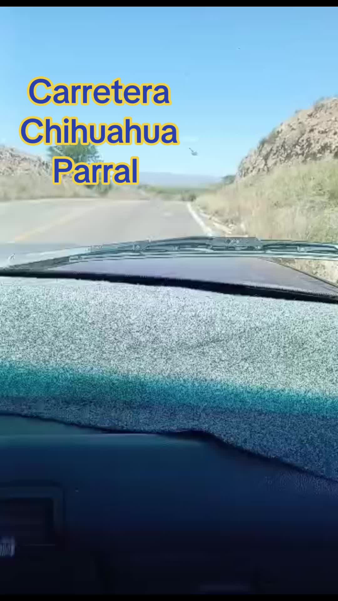 @Claudia
