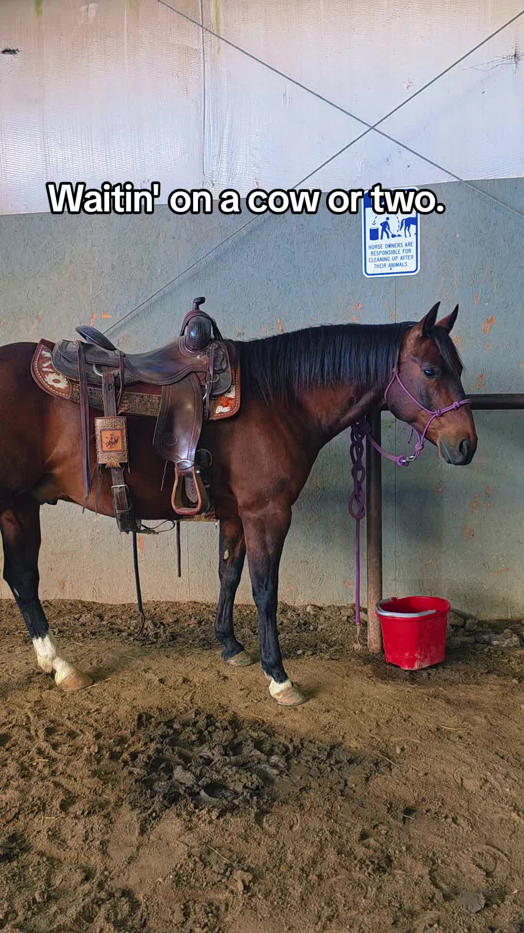 @🐴 ColdMountainRanch 🏇